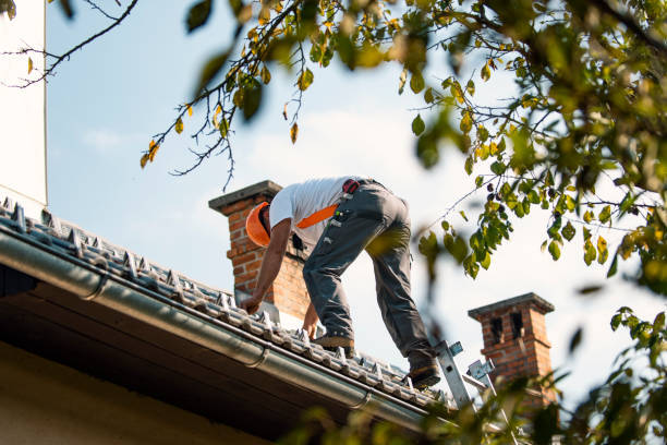 Quick and Trustworthy Emergency Roof Repair Services in Wyoming, MI