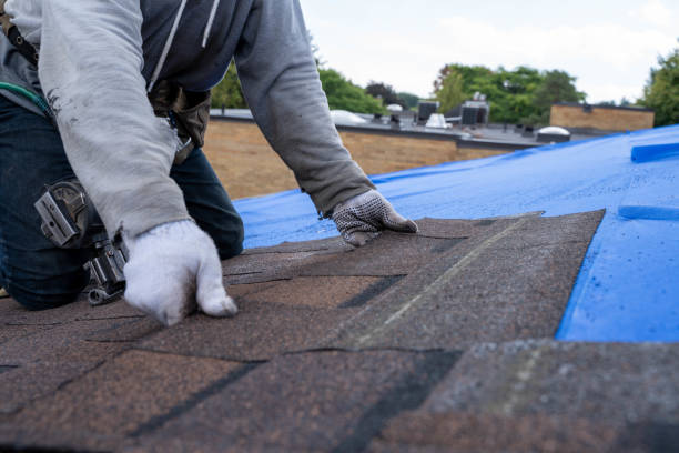 Best Emergency Roof Repair  in Wyong, MI